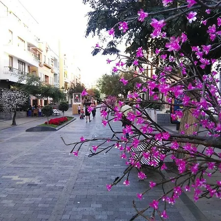 Miguelangelo Los Llanos De Aridane