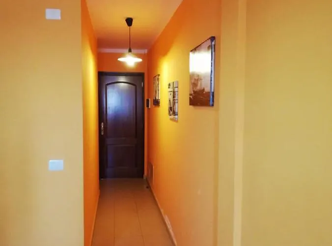 Miguelangelo 洛斯·亚诺斯·德·阿里丹