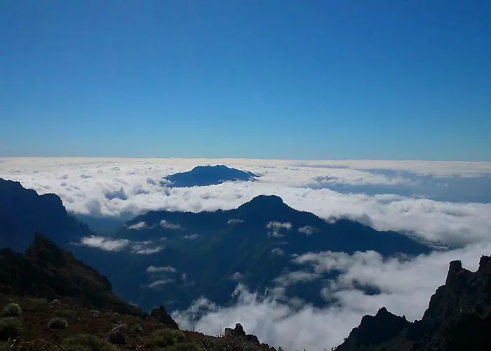 Miguelangelo 洛斯·亚诺斯·德·阿里丹