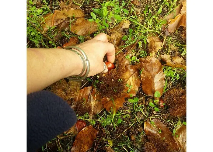 Miguelangelo 公寓 洛斯·亚诺斯·德·阿里丹