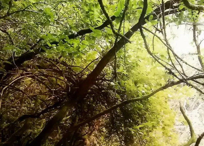 公寓 Miguelangelo *