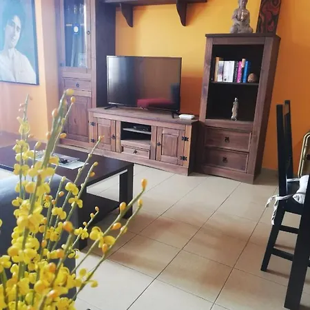 Apartment Miguelangelo