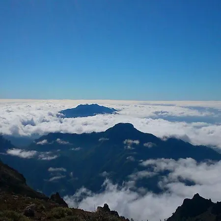 Miguelangelo Los Llanos De Aridane